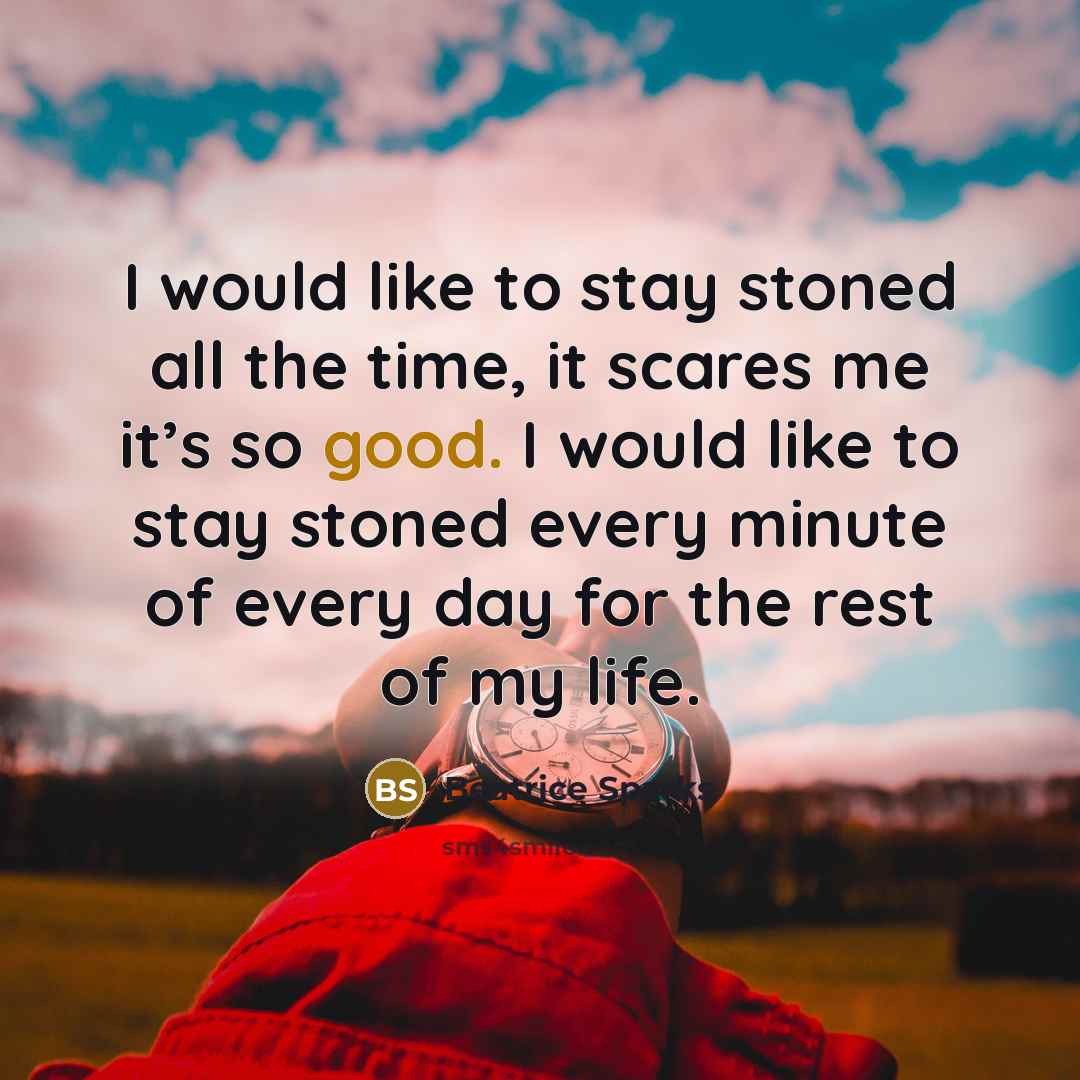 “I would like to stay stoned all the time, it scares me it’s so good. I would like to stay stoned every minute of every day for the rest of my life.” quote by Beatrice Sparks