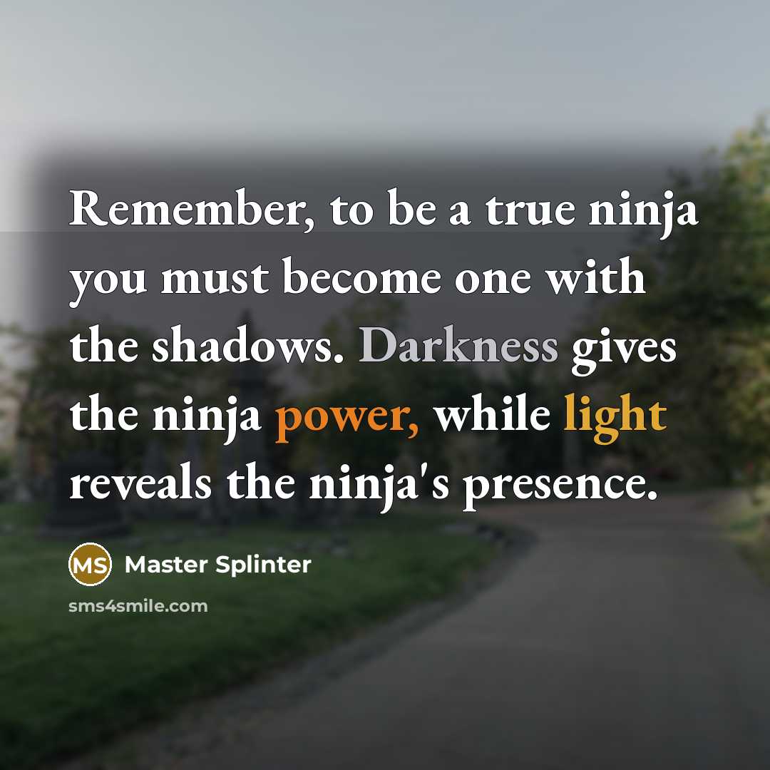 “Remember, to be a true ninja you must become one with the shadows. Darkness gives the ninja power, while light reveals the ninja's presence.” quote by Master Splinter