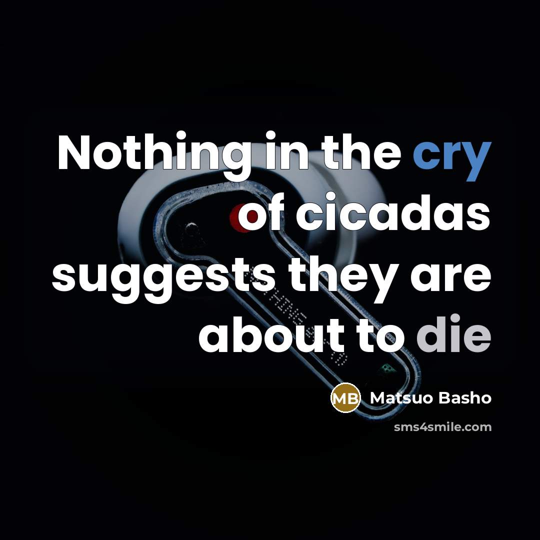 “Nothing in the cry of cicadas suggests they are about to die” quote by Matsuo Basho