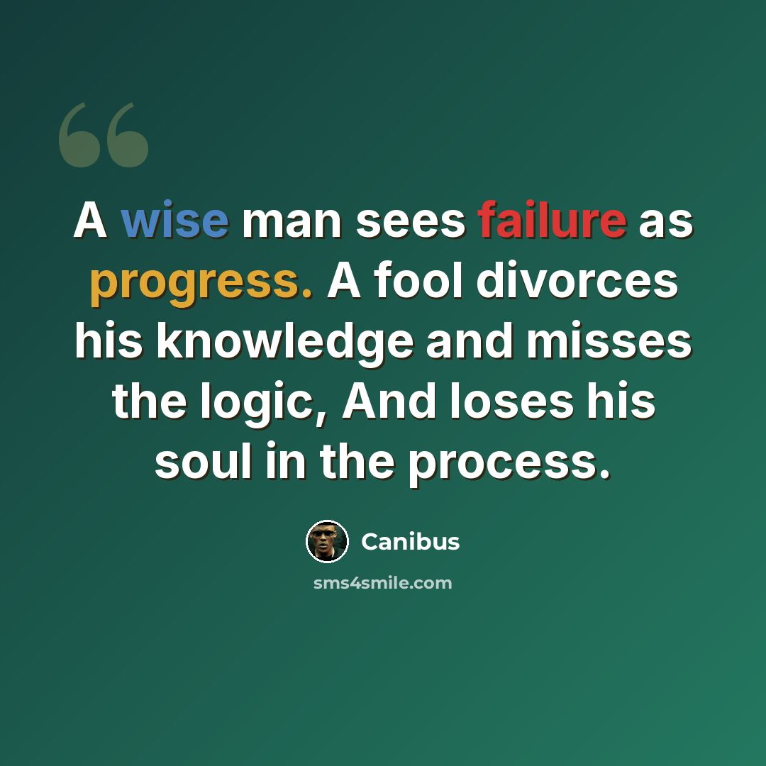 “A wise man sees failure as progress. A fool divorces his knowledge and misses the logic, And loses his soul in the process.” quote by Canibus