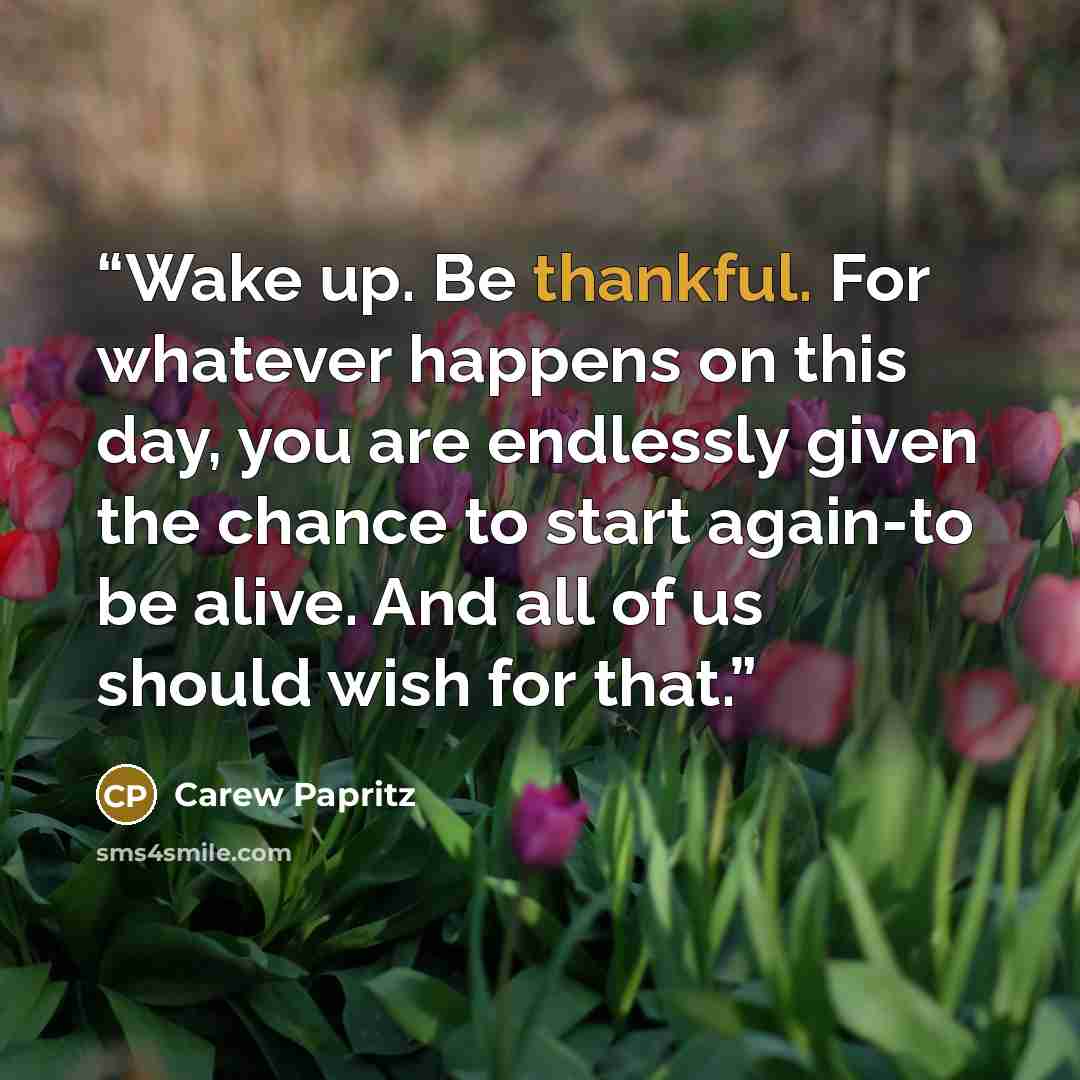 “Wake up. Be thankful. For whatever happens on this day, you are endlessly given the chance to start again-to be alive. And all of us should wish for that.” quote by Carew Papritz