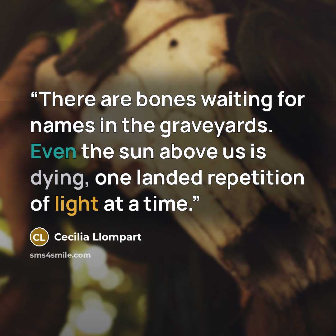 “There are bones waiting for names in the graveyards. Even the sun above us is dying, one landed repetition of light at a time.” quote by Cecilia Llompart