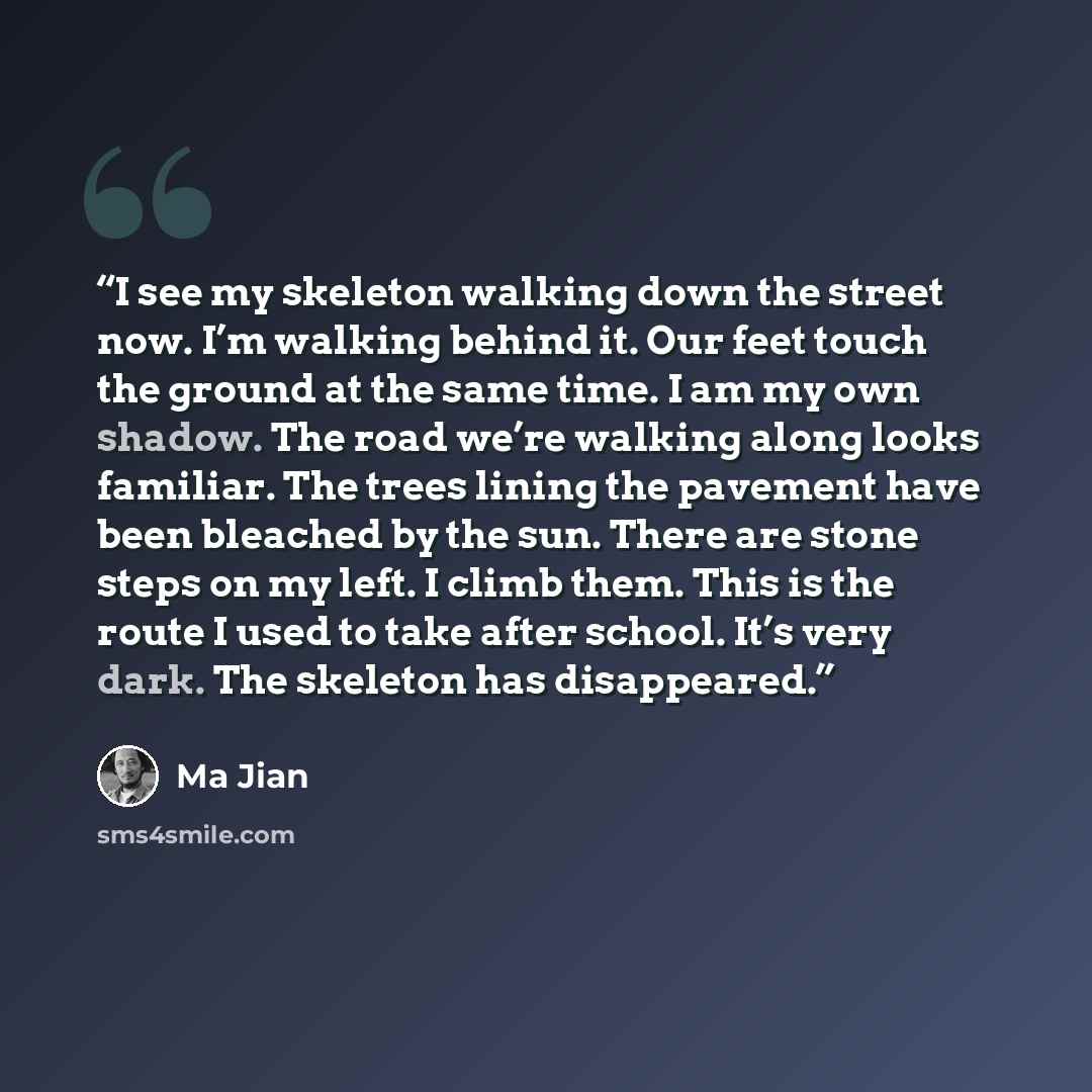 “I see my skeleton walking down the street now. I’m walking behind it. Our feet touch the ground at the same time. I am my own shadow. The road we’re walking along looks familiar. The trees lining the pavement have been bleached by the sun. There are stone steps on my left. I climb them. This is…” quote by Ma Jian