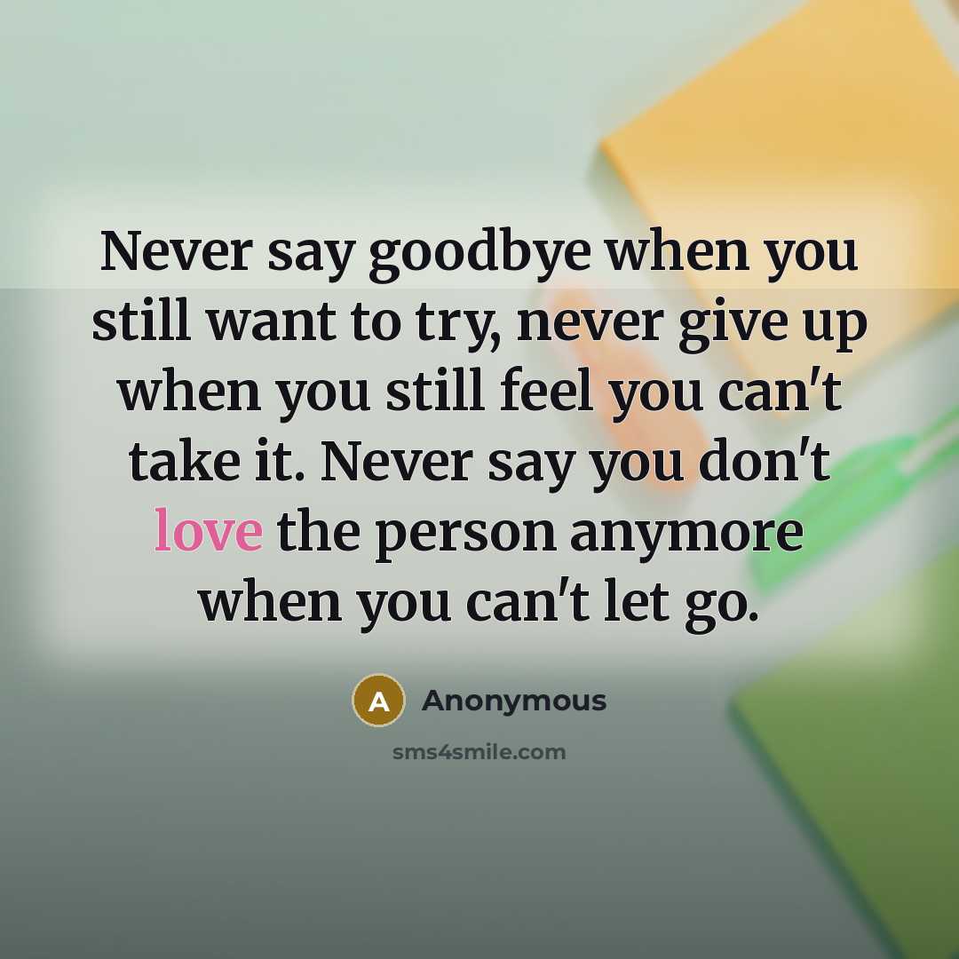 “Never say goodbye when you still want to try, never give up when you still feel you can't take it. Never say you don't love the person anymore when you can't let go.” quote by Anonymous