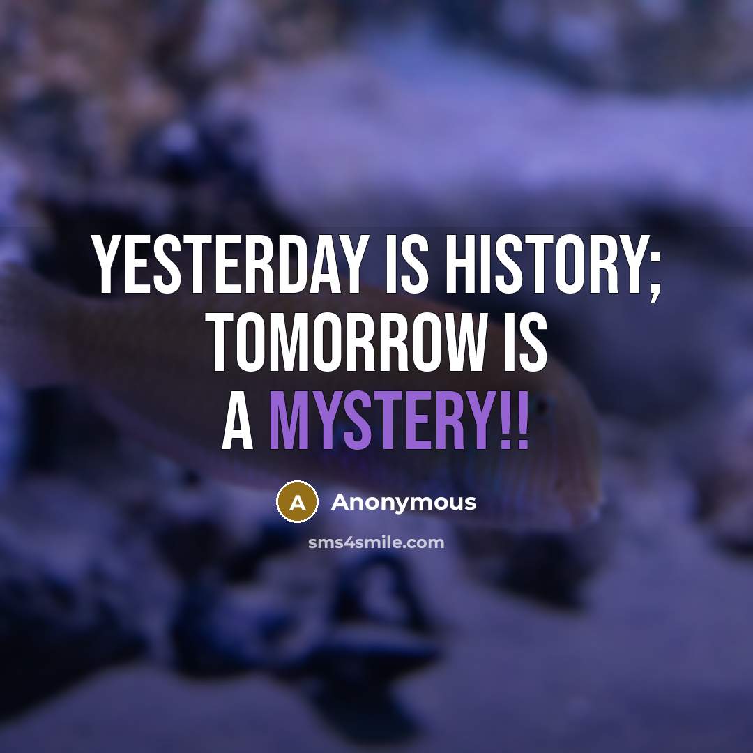 “Yesterday is history; Tomorrow is a mystery!!” quote by Anonymous