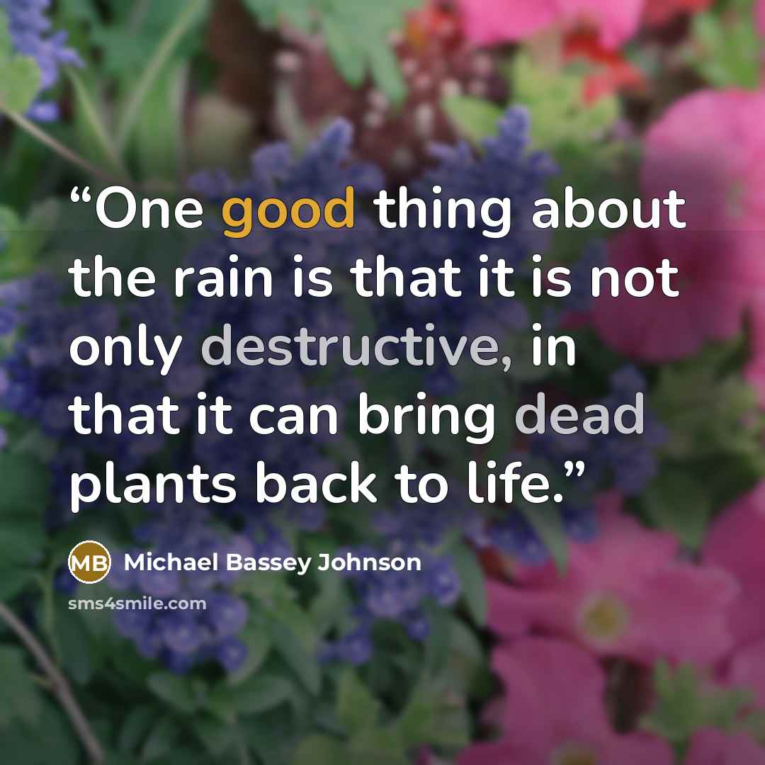 “One good thing about the rain is that it is not only destructive, in that it can bring dead plants back to life.” quote by Michael Bassey Johnson
