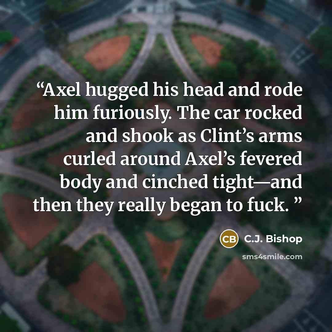 “Axel hugged his head and rode him furiously. The car rocked and shook as Clint’s arms curled around Axel’s fevered body and cinched tight—and then they really began to fuck.” quote by C.J. Bishop
