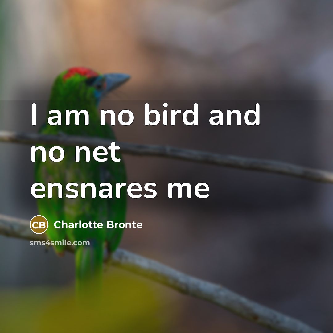 “I am no bird and no net ensnares me” quote by Charlotte Bronte