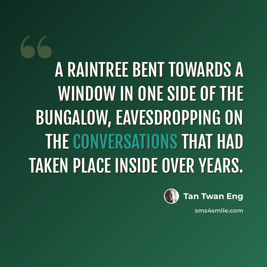 “A raintree bent towards a window in one side of the bungalow, eavesdropping on the conversations that had taken place inside over years.” quote by Tan Twan Eng