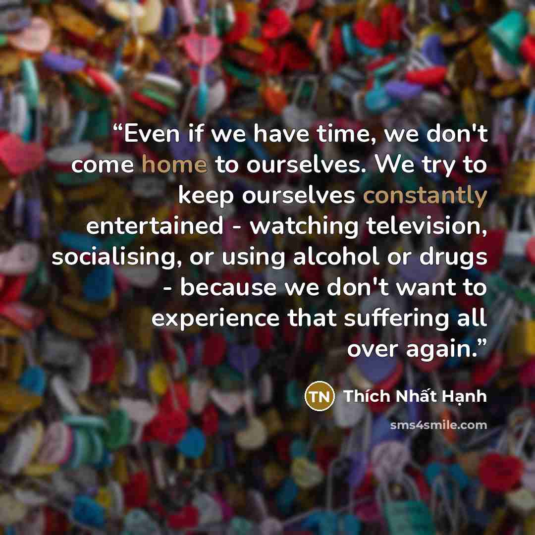 “Even if we have time, we don't come home to ourselves. We try to keep ourselves constantly entertained - watching television, socialising, or using alcohol or drugs - because we don't want to experience that suffering all over again.” quote by Thich Nhat Hanh