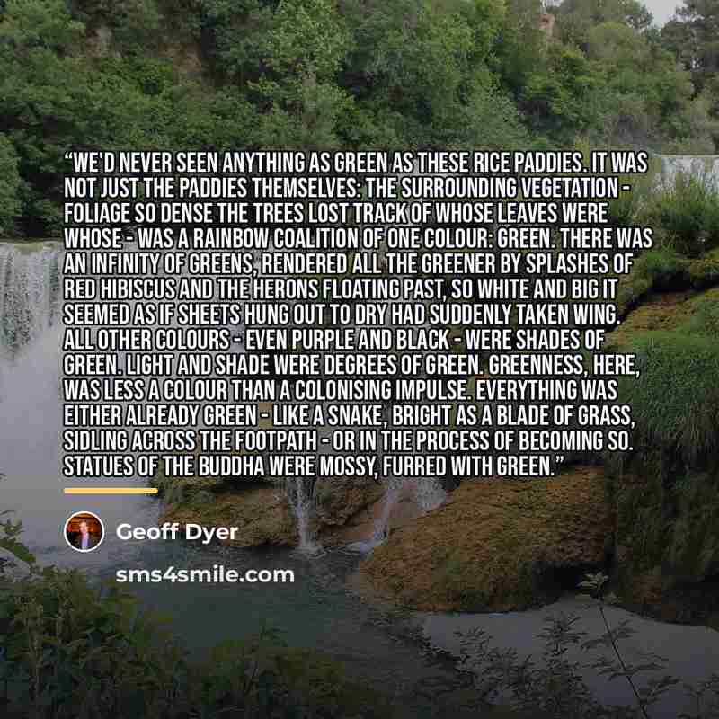 “We'd never seen anything as green as these rice paddies. It was not just the paddies themselves: the surrounding vegetation - foliage so dense the trees lost track of whose leaves were whose - was a rainbow coalition of one colour: green. There was an infinity of greens, rendered all the greener…” quote by Geoff Dyer