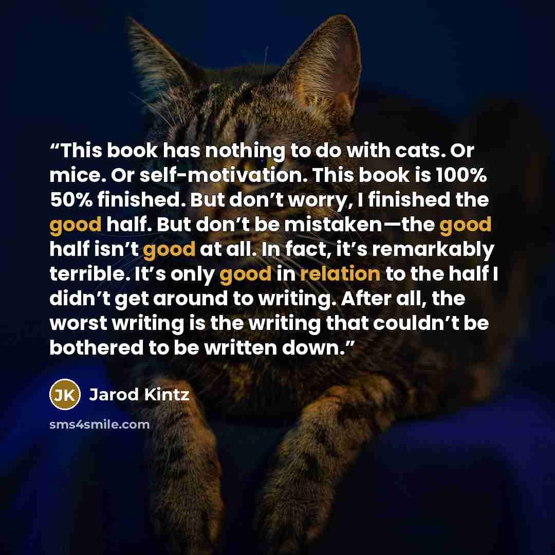 “This book has nothing to do with cats. Or mice. Or self-motivation. This book is 100% 50% finished. But don’t worry, I finished the good half. But don’t be mistaken—the good half isn’t good at all. In fact, it’s remarkably terrible. It’s only good in relation to the half I didn’t get around to…” quote by Jarod Kintz