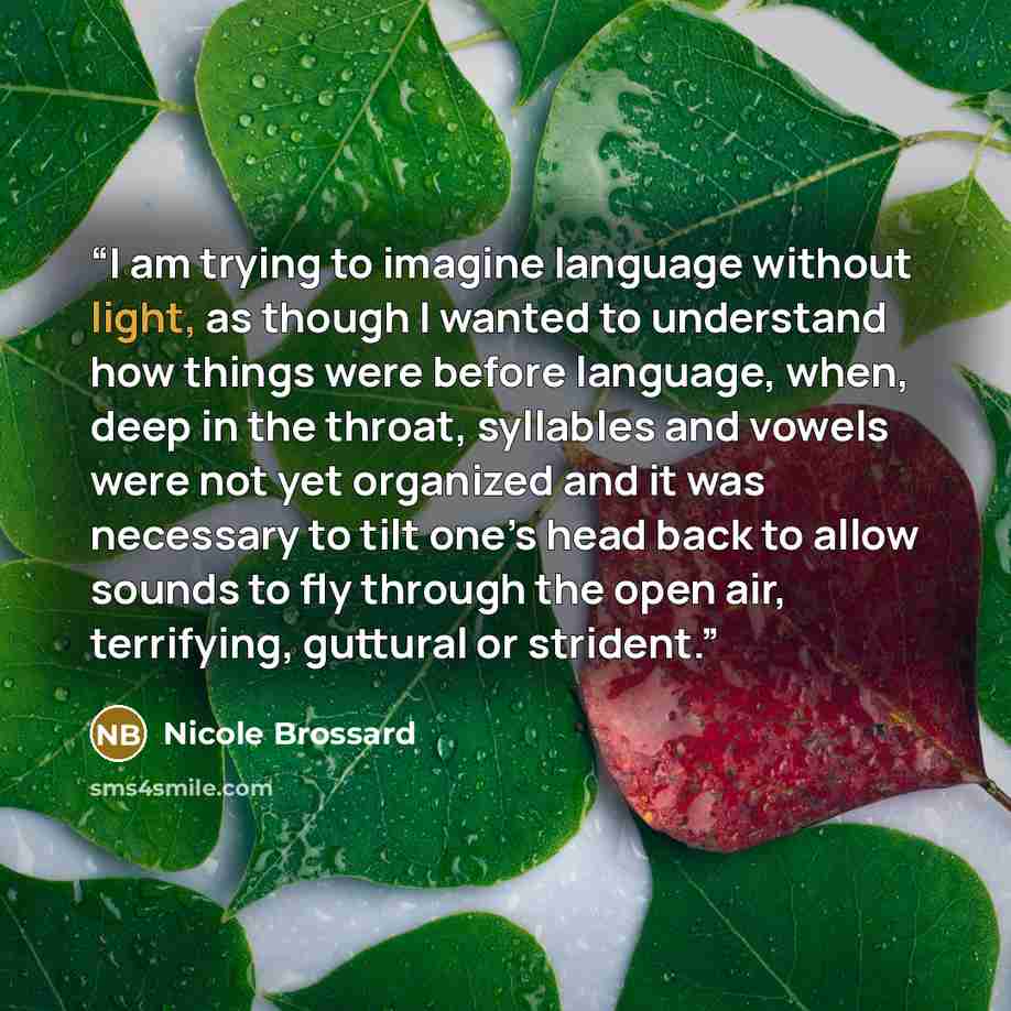 “I am trying to imagine language without light, as though I wanted to understand how things were before language, when, deep in the throat, syllables and vowels were not yet organized and it was necessary to tilt one’s head back to allow sounds to fly through the open air, terrifying, guttural or…” quote by Nicole Brossard