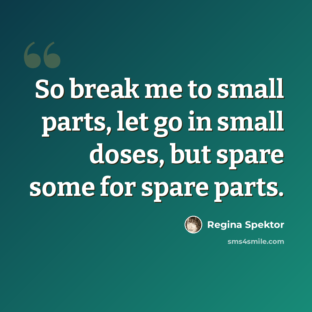 “So break me to small parts, let go in small doses, but spare some for spare parts.” quote by Regina Spektor