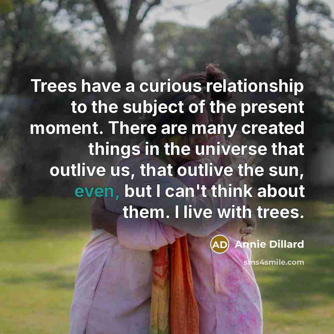 “Trees have a curious relationship to the subject of the present moment. There are many created things in the universe that outlive us, that outlive the sun, even, but I can't think about them. I live with trees.” quote by Annie Dillard