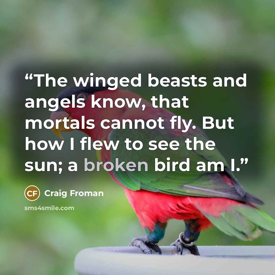 “The winged beasts and angels know, that mortals cannot fly. But how I flew to see the sun; a broken bird am I.” quote by Craig Froman