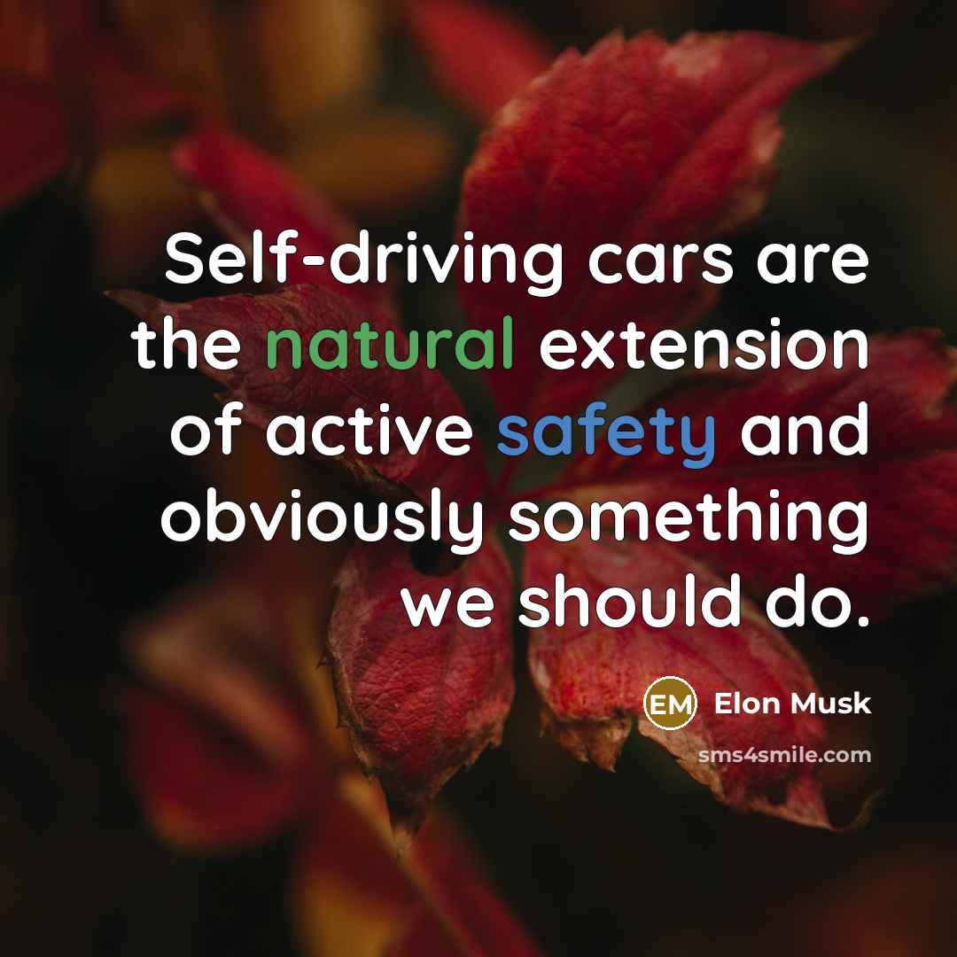 “Self-driving cars are the natural extension of active safety and obviously something we should do.” quote by Elon Musk