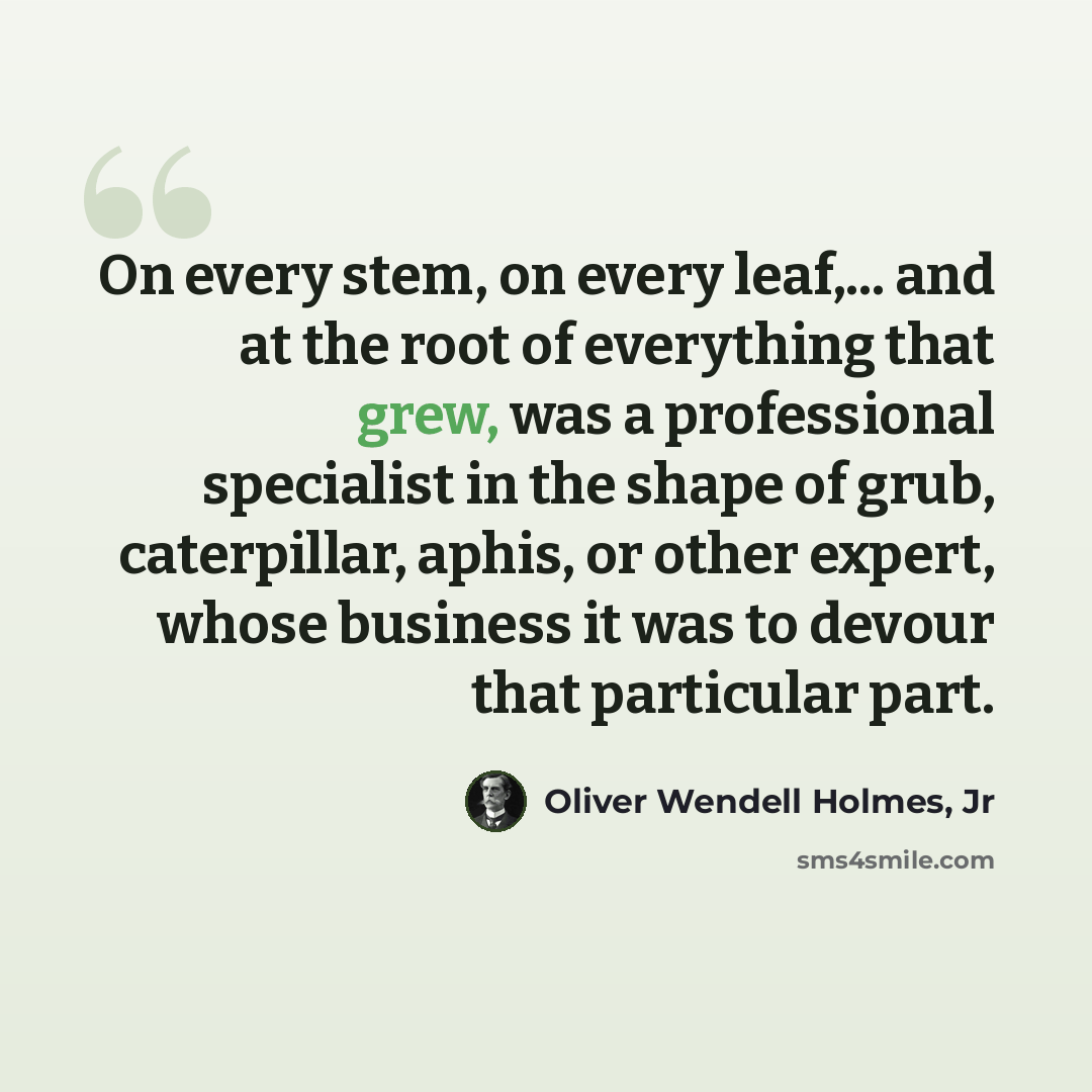 “On every stem, on every leaf,... and at the root of everything that grew, was a professional specialist in the shape of grub, caterpillar, aphis, or other expert, whose business it was to devour that particular part.” quote by Oliver Wendell Holmes, Jr