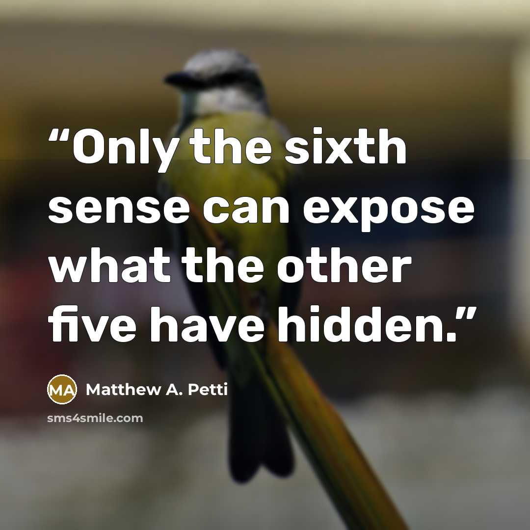 “Only the sixth sense can expose what the other five have hidden.” quote by Matthew A. Petti