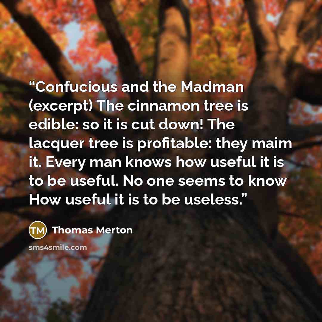 “Confucious and the Madman (excerpt) The cinnamon tree is edible: so it is cut down! The lacquer tree is profitable: they maim it. Every man knows how useful it is to be useful. No one seems to know How useful it is to be useless.” quote by Thomas Merton