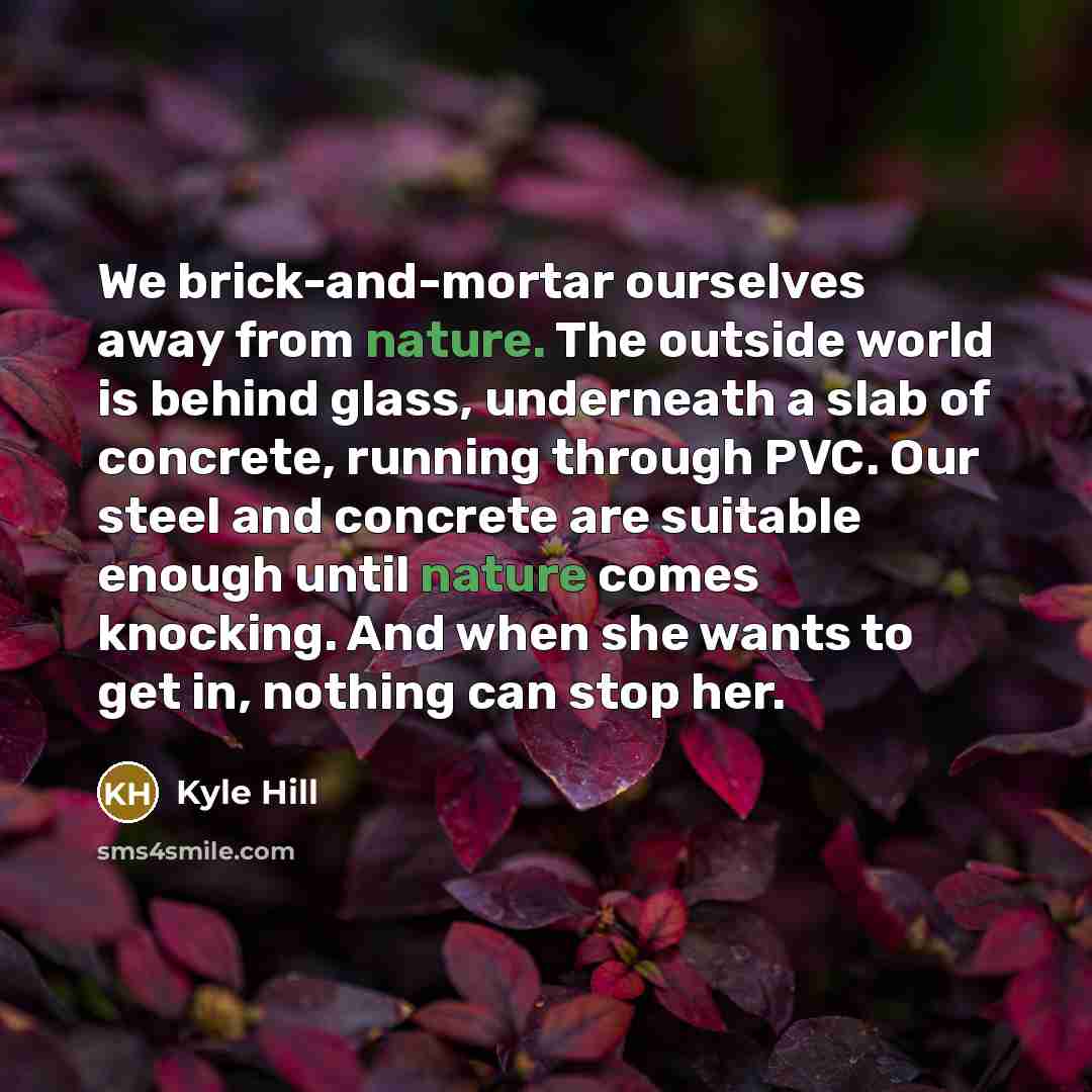 “We brick-and-mortar ourselves away from nature. The outside world is behind glass, underneath a slab of concrete, running through PVC. Our steel and concrete are suitable enough until nature comes knocking. And when she wants to get in, nothing can stop her.” quote by Kyle Hill