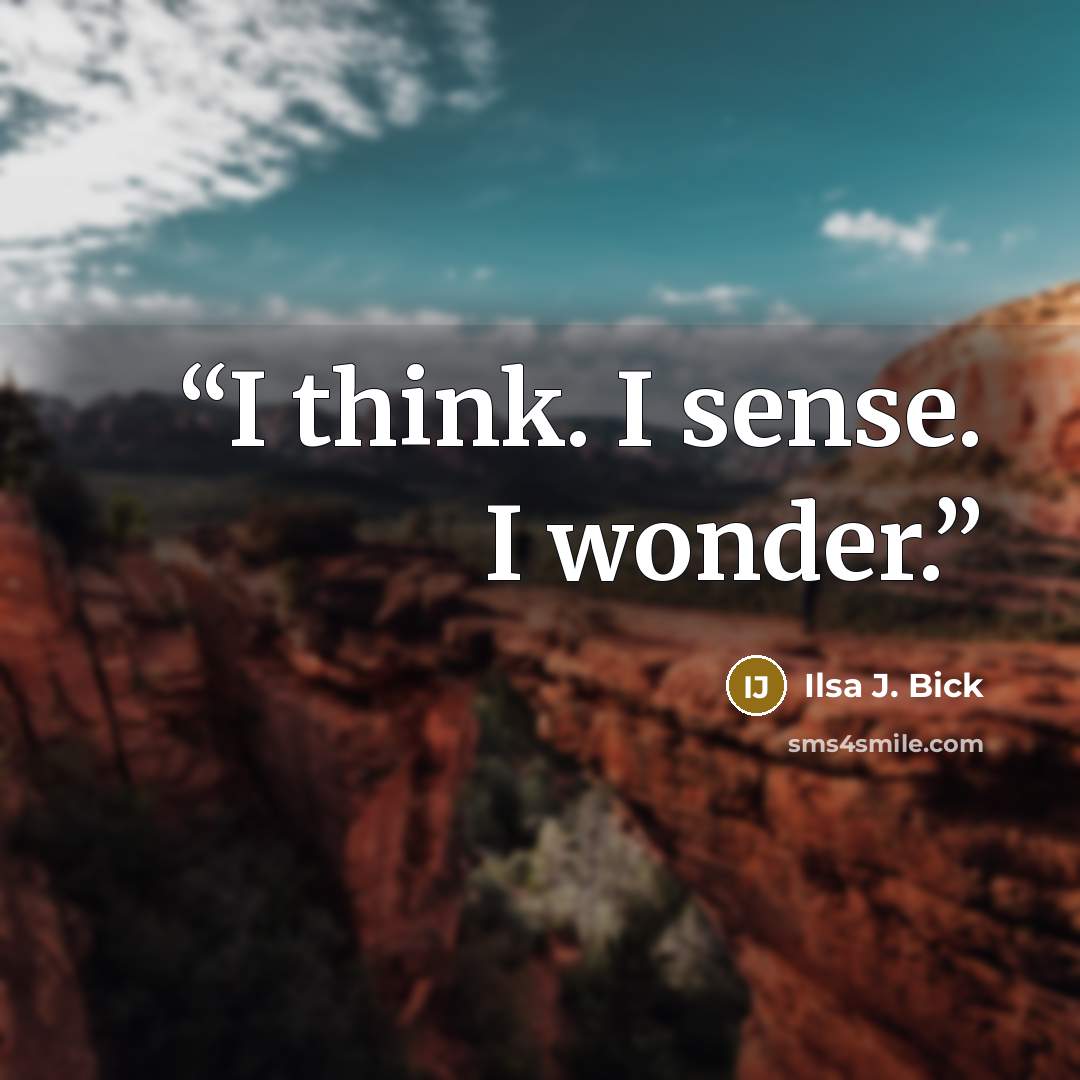 “I think. I sense. I wonder.” quote by Ilsa J. Bick