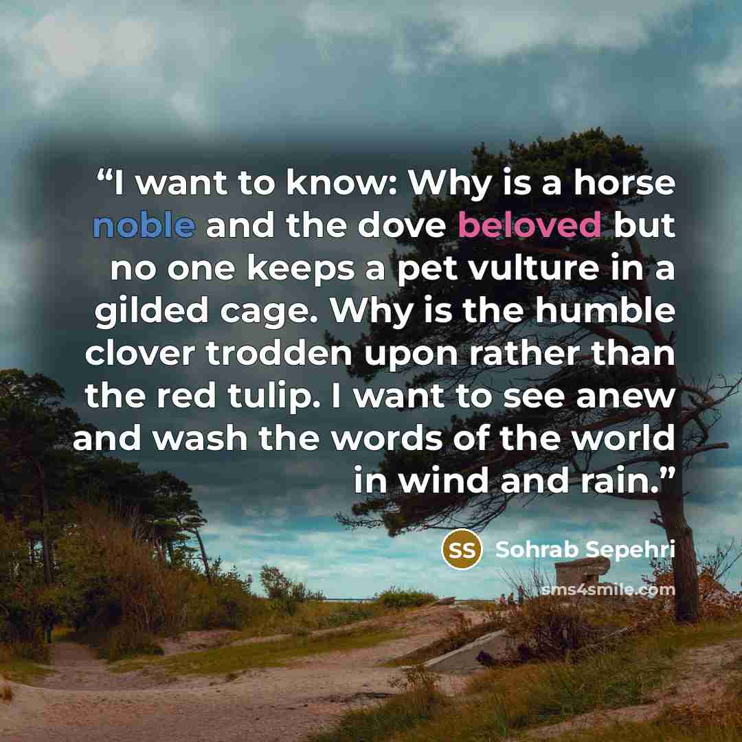 “I want to know: Why is a horse noble and the dove beloved but no one keeps a pet vulture in a gilded cage. Why is the humble clover trodden upon rather than the red tulip. I want to see anew and wash the words of the world in wind and rain.” quote by Sohrab Sepehri