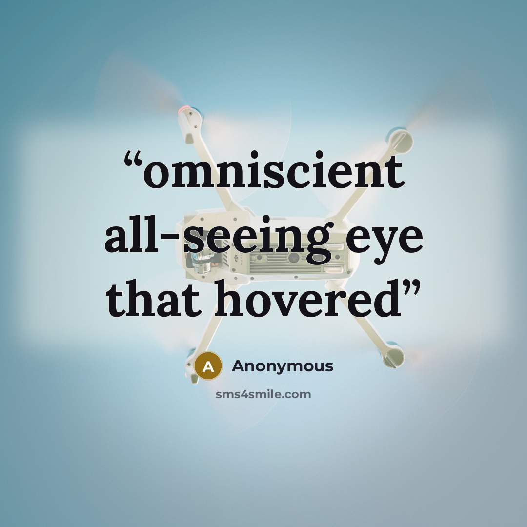“omniscient all-seeing eye that hovered” quote by Anonymous