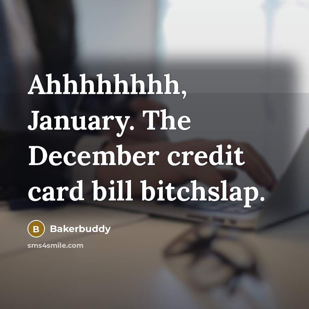 “Ahhhhhhhh, January. The December credit card bill bitchslap.” quote by Bakerbuddy