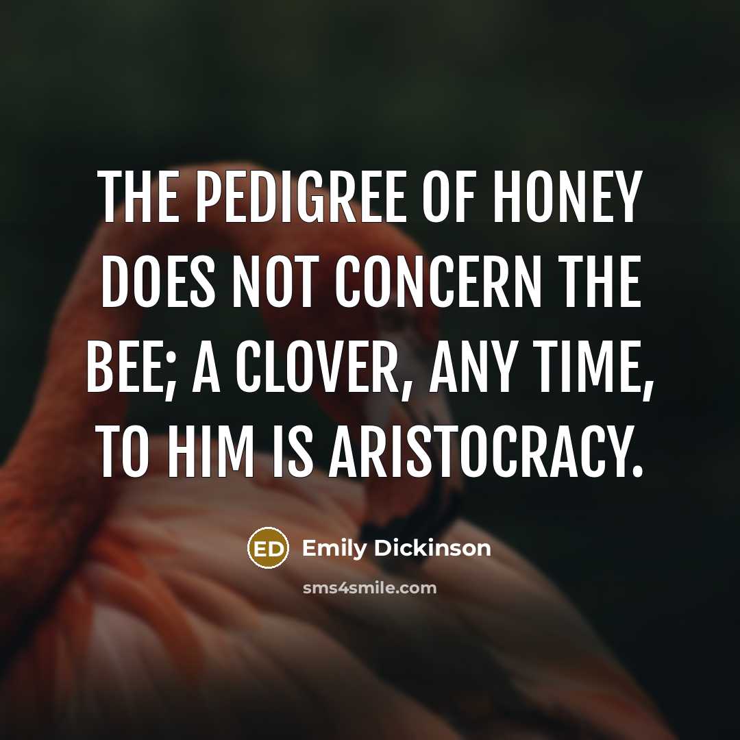 “The pedigree of honey does not concern the bee; A clover, any time, to him is aristocracy.” quote by Emily Dickinson