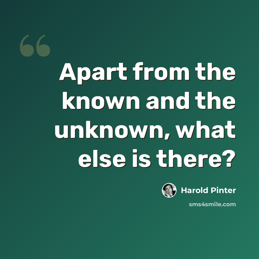“Apart from the known and the unknown, what else is there?” quote by Harold Pinter