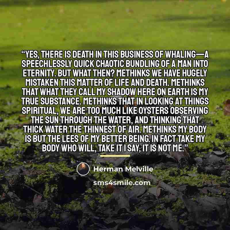 “Yes, there is death in this business of whaling—a speechlessly quick chaotic bundling of a man into Eternity. But what then? Methinks we have hugely mistaken this matter of Life and Death. Methinks that what they call my shadow here on earth is my true substance. Methinks that in looking at things…” quote by Herman Melville