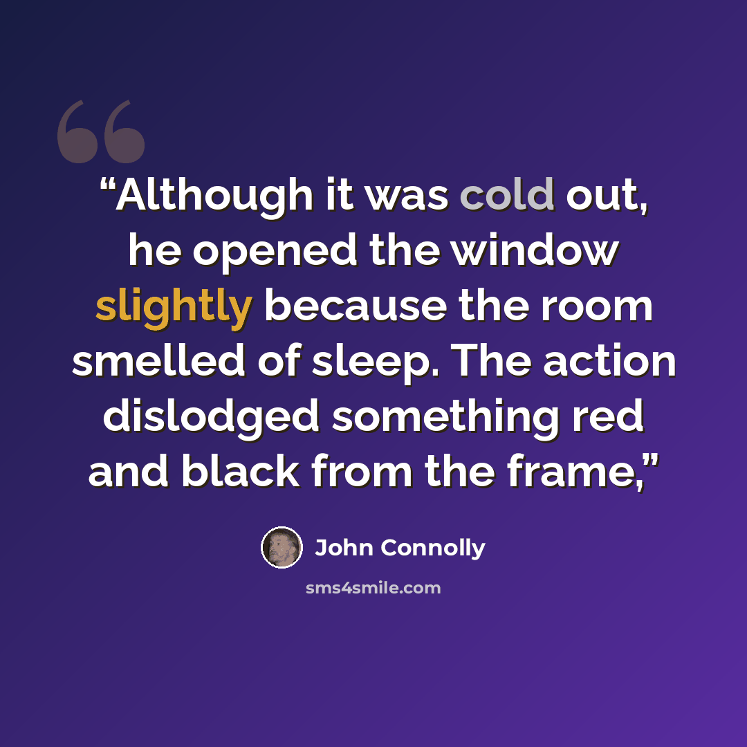 “Although it was cold out, he opened the window slightly because the room smelled of sleep. The action dislodged something red and black from the frame,” quote by John Connolly