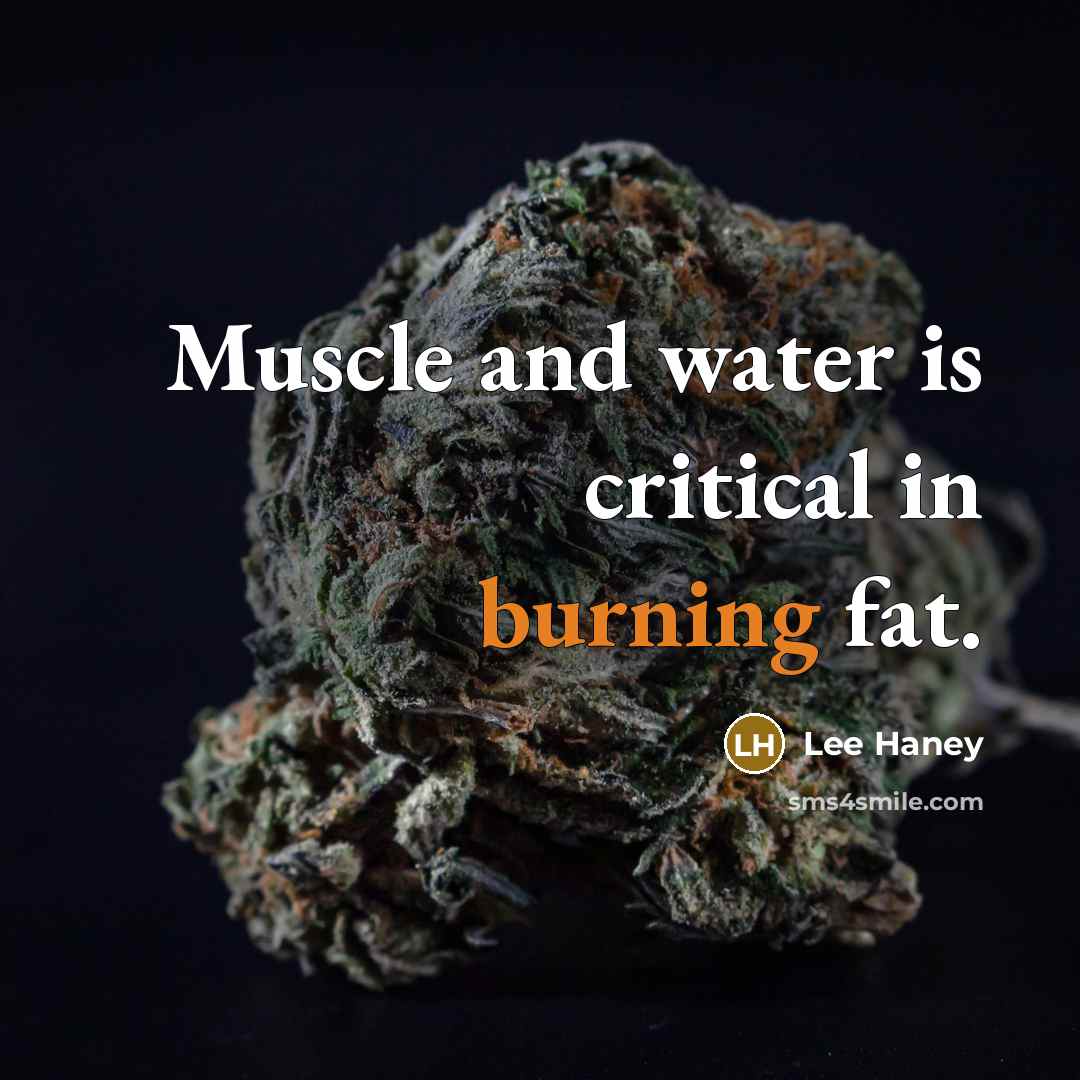 “Muscle and water is critical in burning fat.” quote by Lee Haney
