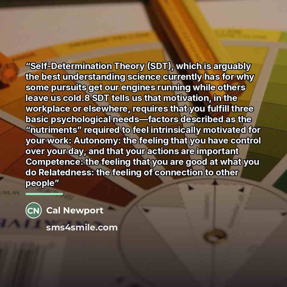 “Self-Determination Theory (SDT), which is arguably the best understanding science currently has for why some pursuits get our engines running while others leave us cold.8 SDT tells us that motivation, in the workplace or elsewhere, requires that you fulfill three basic psychological needs—factors…” quote by Cal Newport