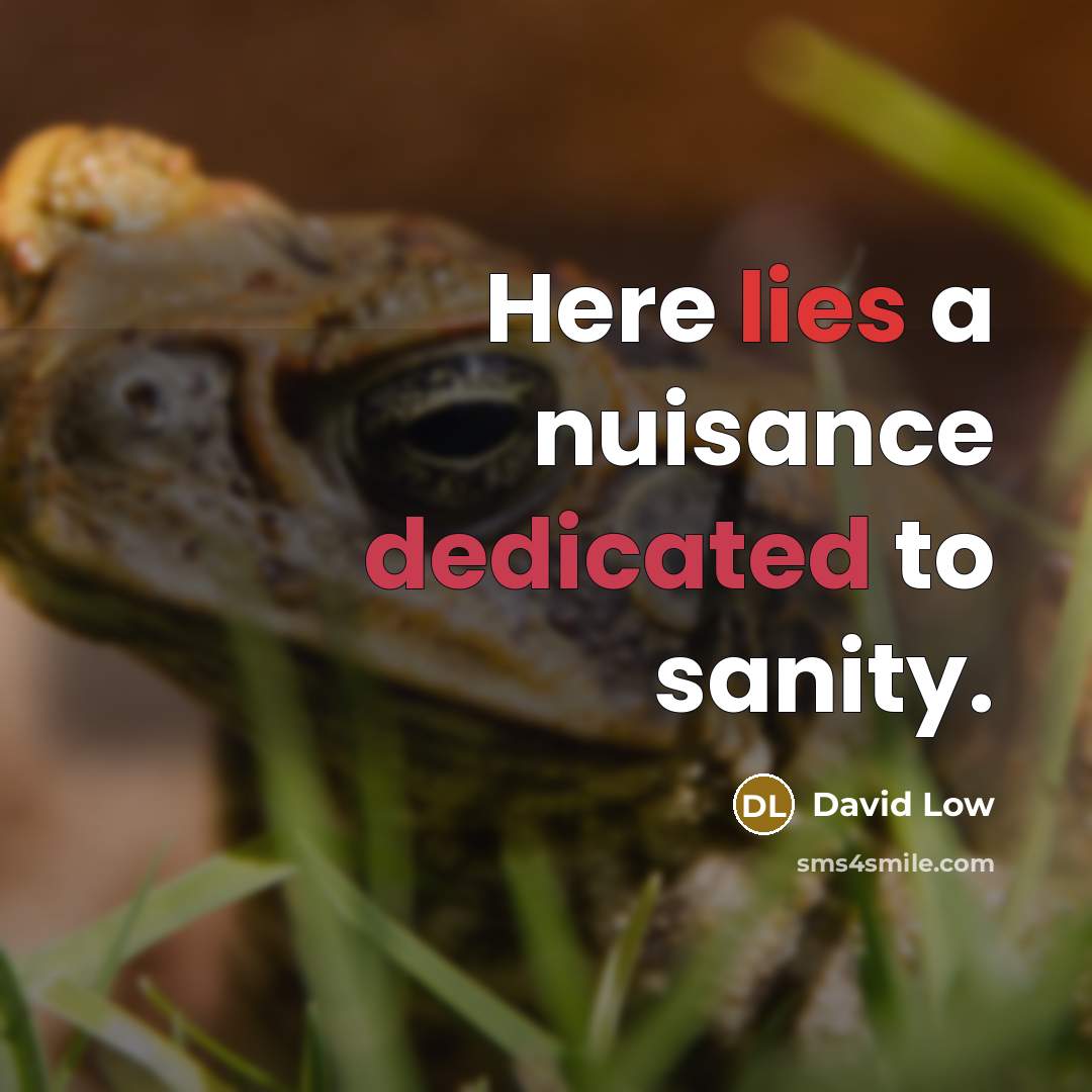 “Here lies a nuisance dedicated to sanity.” quote by David Low