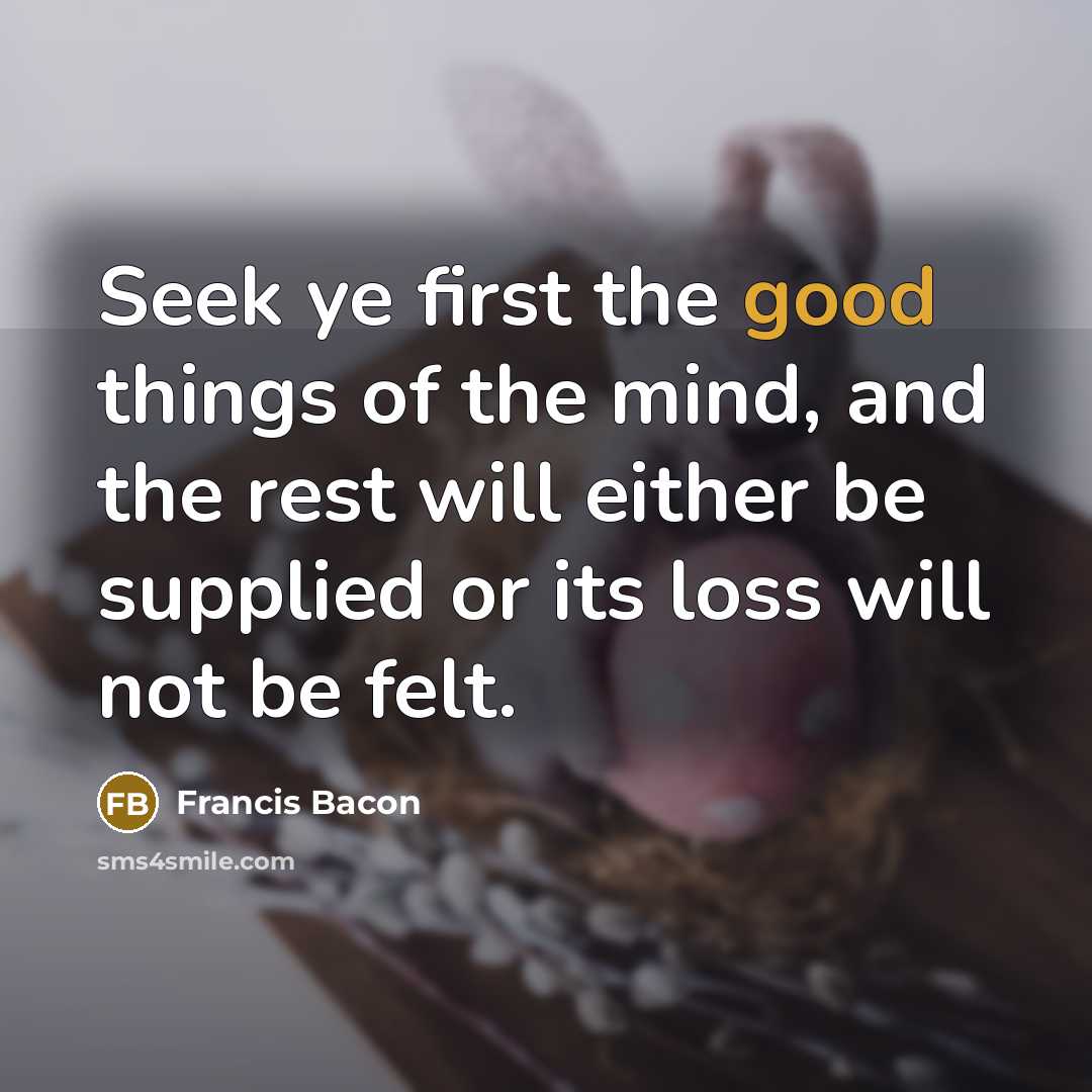 “Seek ye first the good things of the mind, and the rest will either be supplied or its loss will not be felt.” quote by Francis Bacon