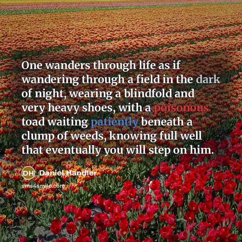 “One wanders through life as if wandering through a field in the dark of night, wearing a blindfold and very heavy shoes, with a poisonous toad waiting patiently beneath a clump of weeds, knowing full well that eventually you will step on him.” quote by Daniel Handler