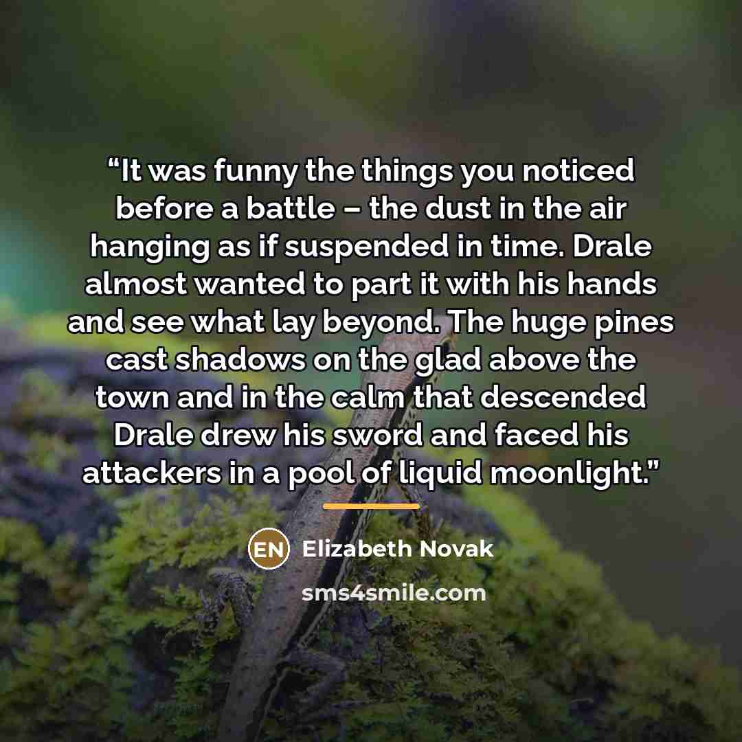 “It was funny the things you noticed before a battle – the dust in the air hanging as if suspended in time. Drale almost wanted to part it with his hands and see what lay beyond. The huge pines cast shadows on the glad above the town and in the calm that descended Drale drew his sword and faced his…” quote by Elizabeth Novak