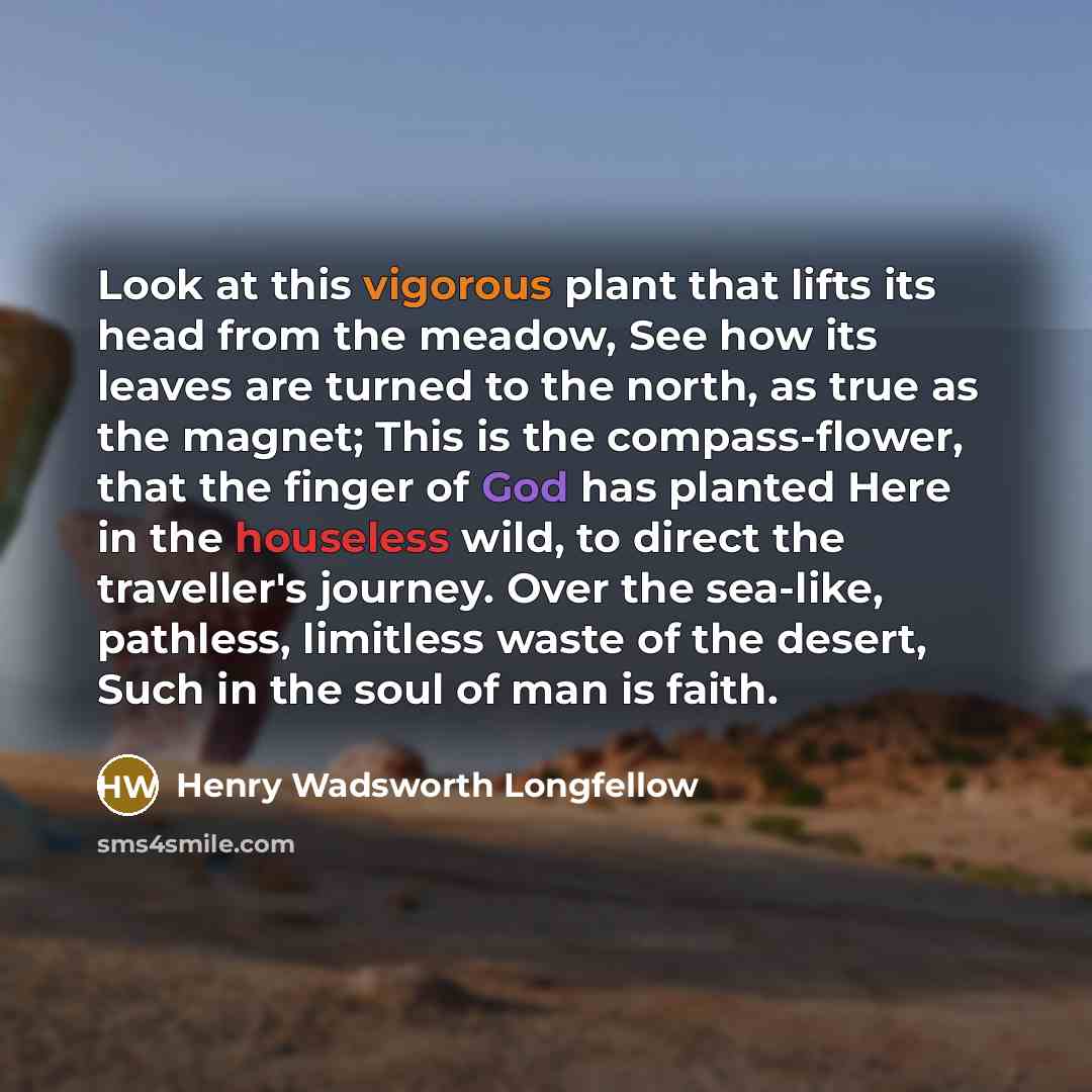 “Look at this vigorous plant that lifts its head from the meadow, See how its leaves are turned to the north, as true as the magnet; This is the compass-flower, that the finger of God has planted Here in the houseless wild, to direct the traveller's journey. Over the sea-like, pathless, limitless…” quote by Henry Wadsworth Longfellow
