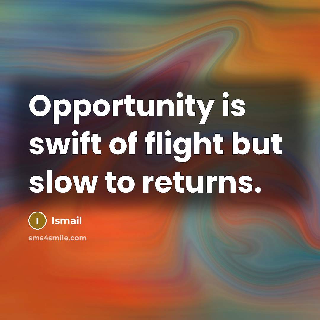 “Opportunity is swift of flight but slow to returns.” quote by Ismail