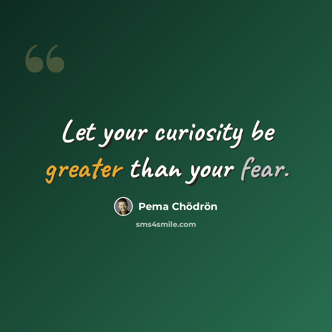 “Let your curiosity be greater than your fear.” quote by Pema Chodron
