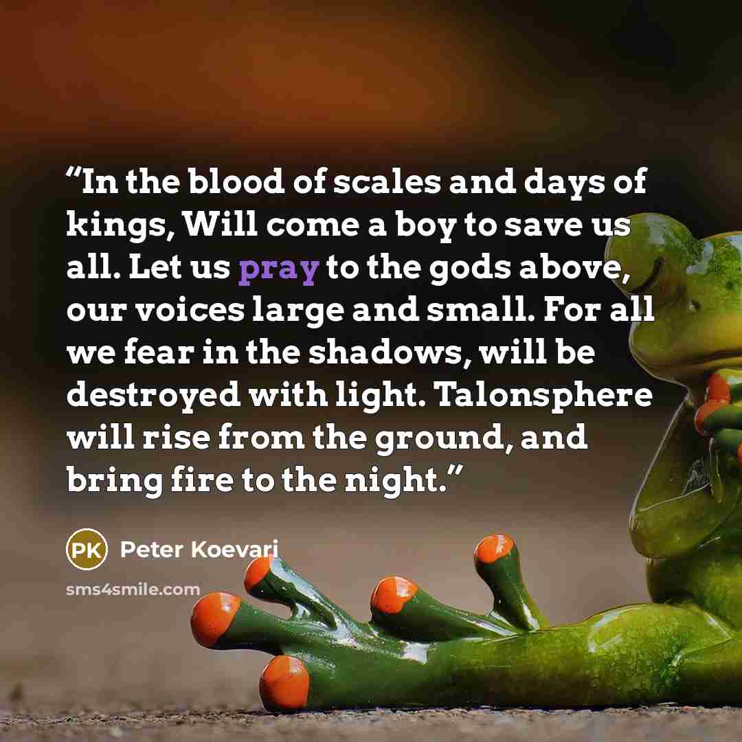 “In the blood of scales and days of kings, Will come a boy to save us all. Let us pray to the gods above, our voices large and small. For all we fear in the shadows, will be destroyed with light. Talonsphere will rise from the ground, and bring fire to the night.” quote by Peter Koevari