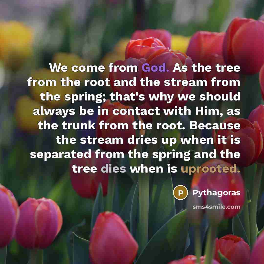 “We come from God. As the tree from the root and the stream from the spring; that's why we should always be in contact with Him, as the trunk from the root. Because the stream dries up when it is separated from the spring and the tree dies when is uprooted.” quote by Pythagoras