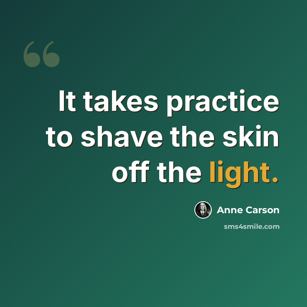 “It takes practice to shave the skin off the light.” quote by Anne Carson