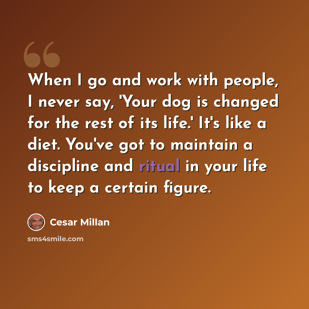 “When I go and work with people, I never say, 'Your dog is changed for the rest of its life.' It's like a diet. You've got to maintain a discipline and ritual in your life to keep a certain figure.” quote by Cesar Millan