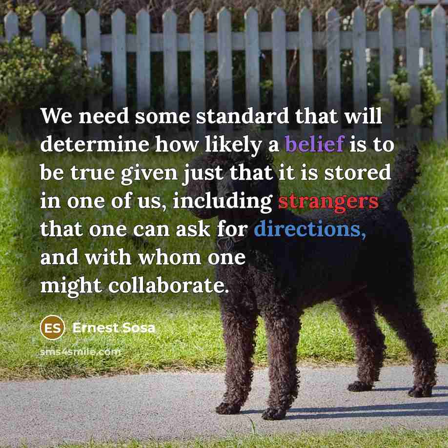 “We need some standard that will determine how likely a belief is to be true given just that it is stored in one of us, including strangers that one can ask for directions, and with whom one might collaborate.” quote by Ernest Sosa