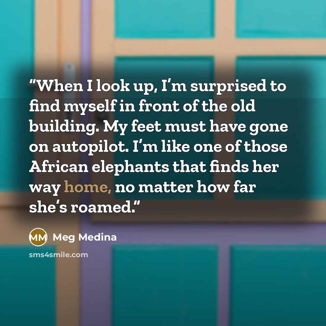 “When I look up, I’m surprised to find myself in front of the old building. My feet must have gone on autopilot. I’m like one of those African elephants that finds her way home, no matter how far she’s roamed.” quote by Meg Medina