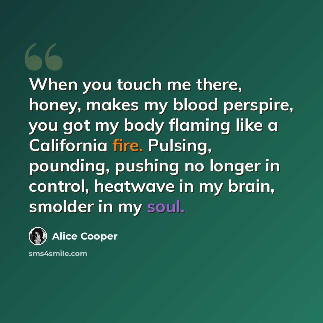 “When you touch me there, honey, makes my blood perspire, you got my body flaming like a California fire. Pulsing, pounding, pushing no longer in control, heatwave in my brain, smolder in my soul.” quote by Alice Cooper