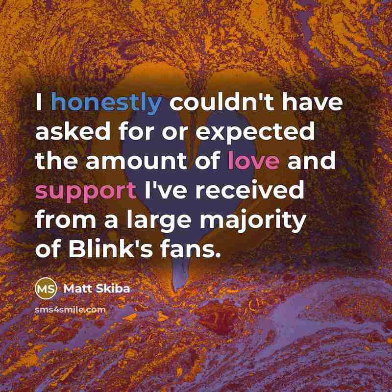“I honestly couldn't have asked for or expected the amount of love and support I've received from a large majority of Blink's fans.” quote by Matt Skiba